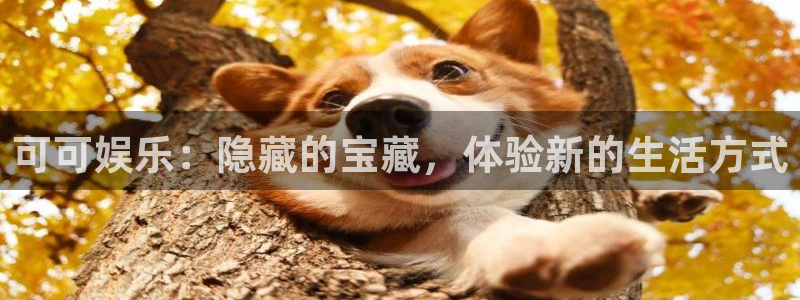 天辰平台：可可娱乐：隐藏的宝藏，体验新的生活方式