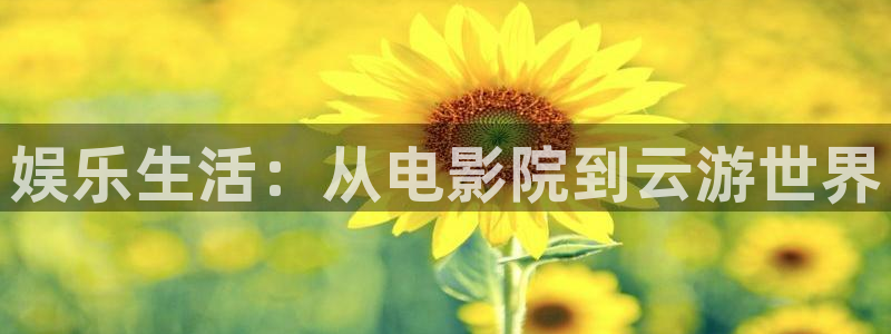 天辰娱乐登录：娱乐生活：从电影院到云游世界