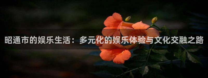 天辰娱乐登录：昭通市的娱乐生活：多元化的娱乐体验与文化交融之路