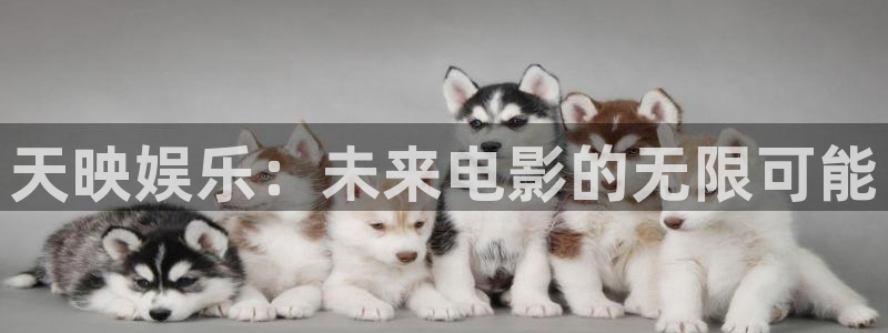 天辰娱乐：天映娱乐：未来电影的无限可能