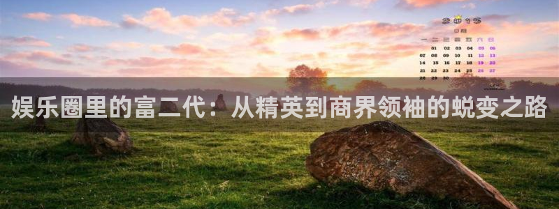 天辰娱乐注册：娱乐圈里的富二代：从精英到商界领袖的蜕变之路