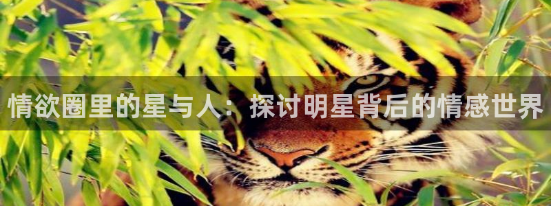 天辰娱乐注册：情欲圈里的星与人：探讨明星背后的情感世界