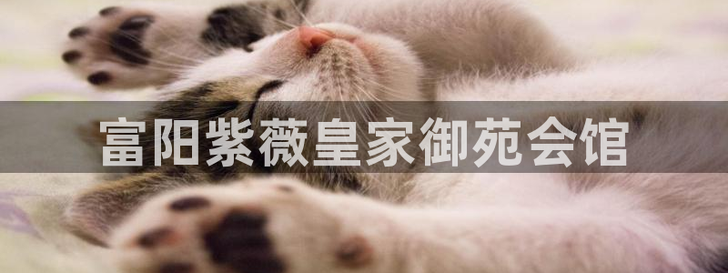 天辰娱乐注册：富阳紫薇皇家御苑会馆