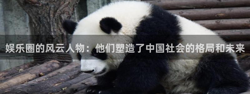 天辰平台：娱乐圈的风云人物：他们塑造了中国社会的格局和未来