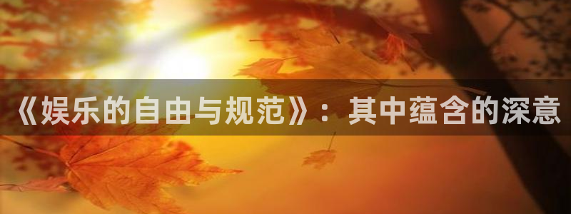 天辰娱乐下载：《娱乐的自由与规范》：其中蕴含的深意