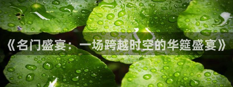 天辰娱乐注册：《名门盛宴：一场跨越时空的华筵盛宴》